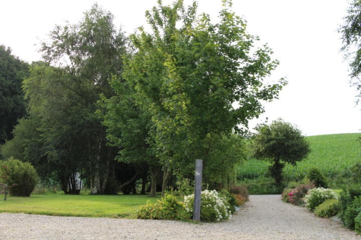 Chaumiere D'Albatre -Gite-Detente Nature Et Bien Etre Ourville-en-Caux エクステリア 写真